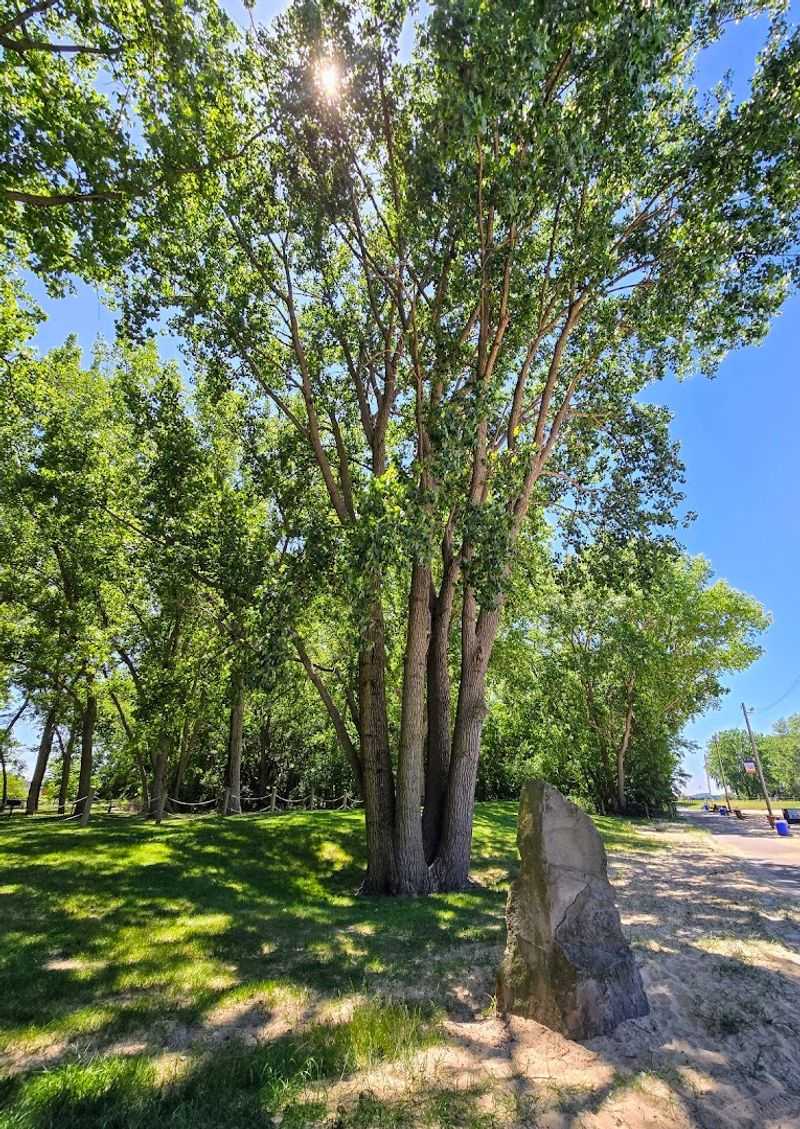 Birdwatching and Monarch Butterfly Migration