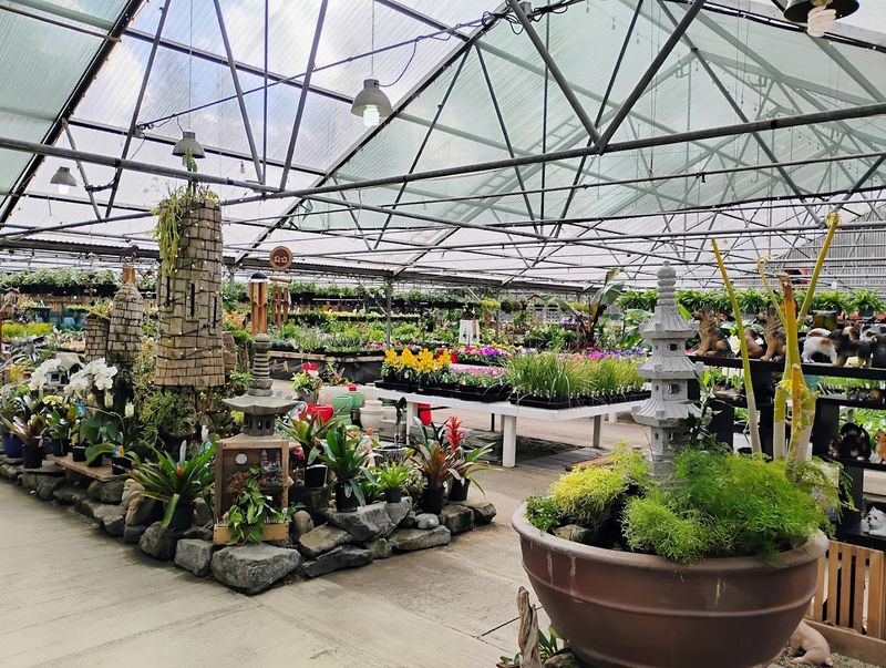 The Tropical Greenhouse Experience
