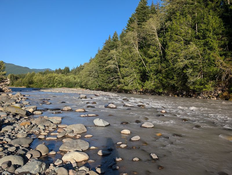 The White River Running Right Through It