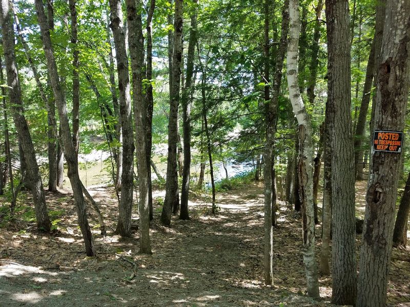 The Whitten Woods Conservation Area