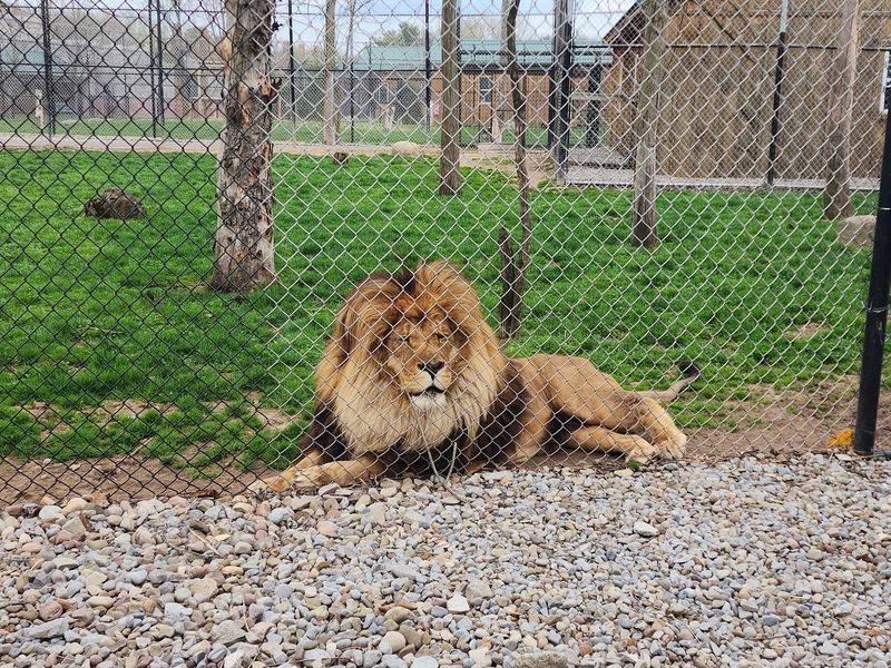 The Wild Animal Park Next Door Is A Whole Other Adventure