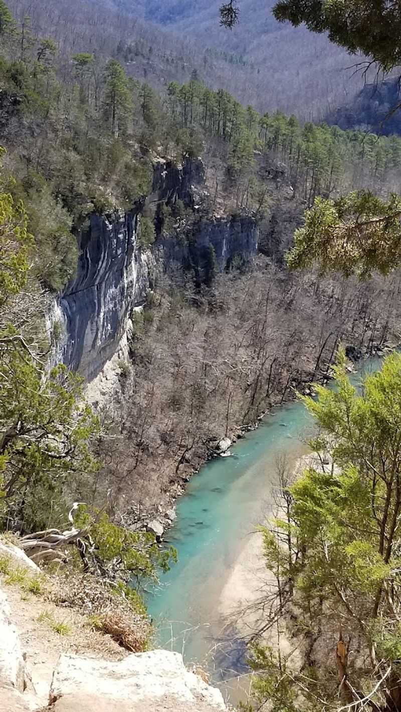 The Wild Beauty Of The Cliffside