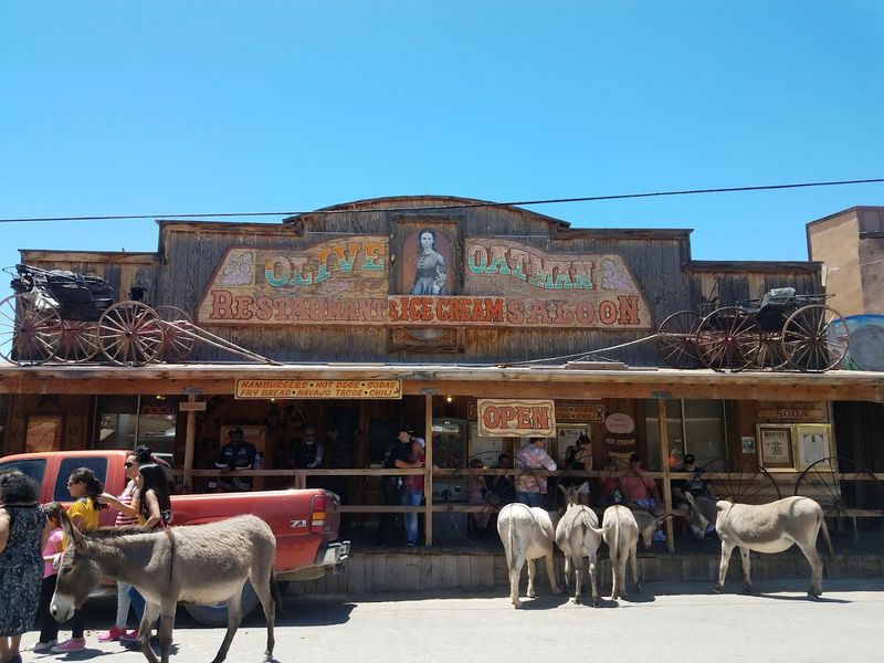 A Gold Rush Origin Story Worth Knowing