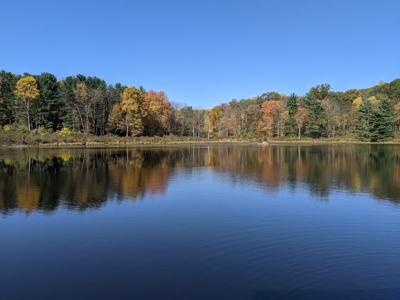 The Wilderness Center, Wilmot, Ohio