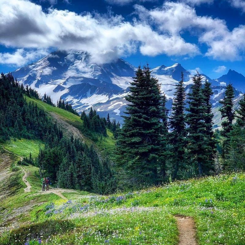 The Wilderness Setting That Makes It Special