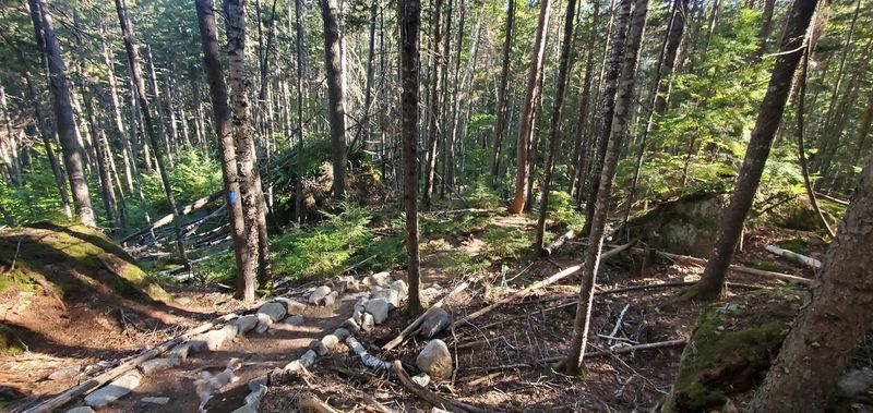 The Wilderness Setting That Surrounds The Caves The Wilderness Setting That Surrounds The Caves