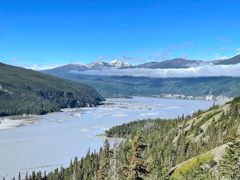  The Wilderness That Swallows You Whole