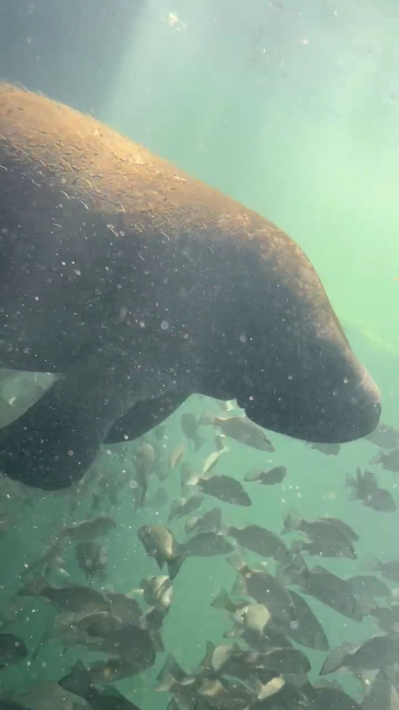 The Journey To The Park