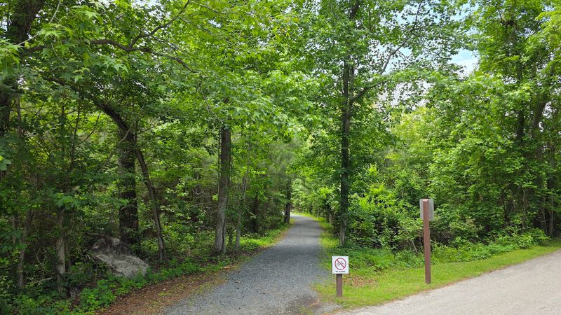 The Wildlife Loop Trail Experience