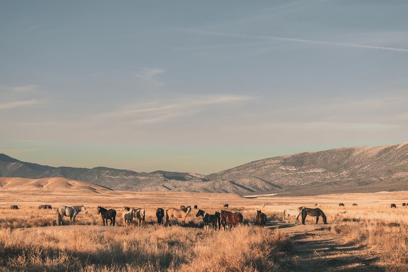 The Night Sky Situation Deserves Its Own Conversation