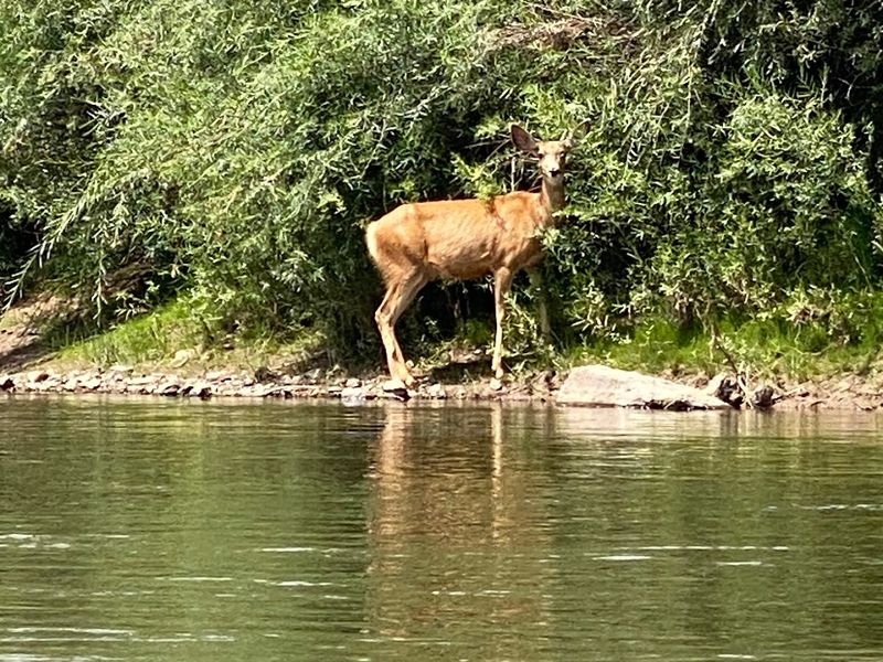 The Wildlife and Scenery That Make This Stretch Special