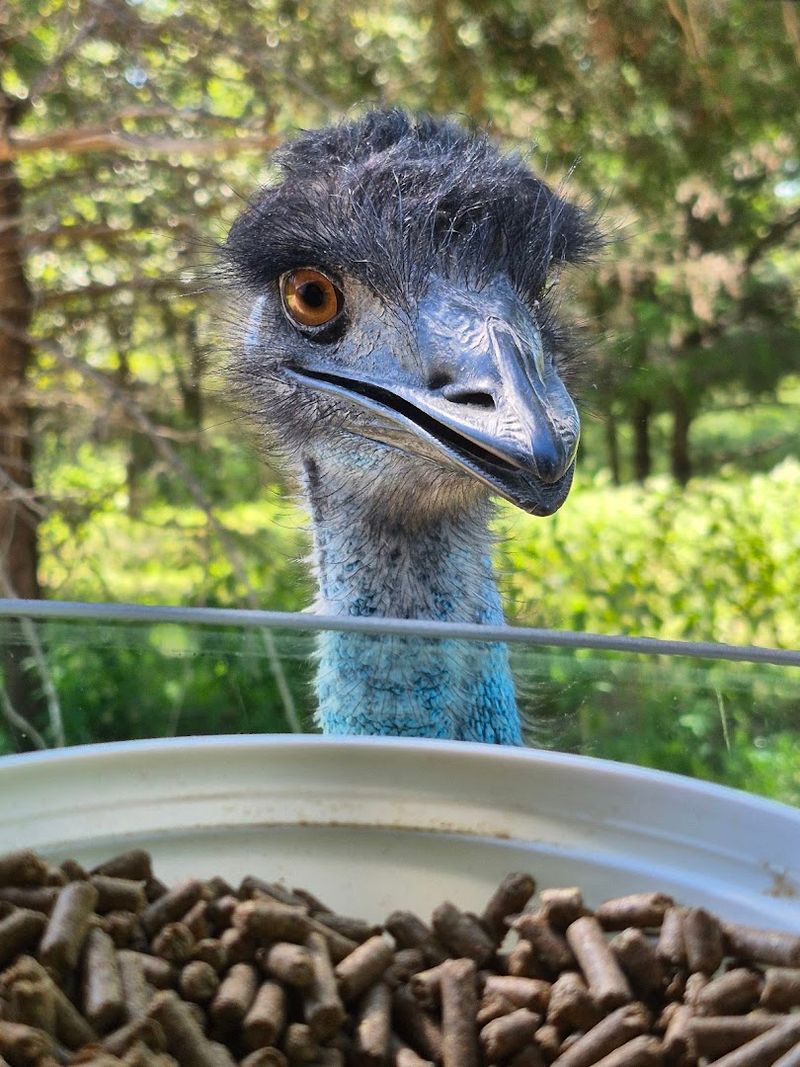 The Feed Bag Factor And Why It Makes Everything Better