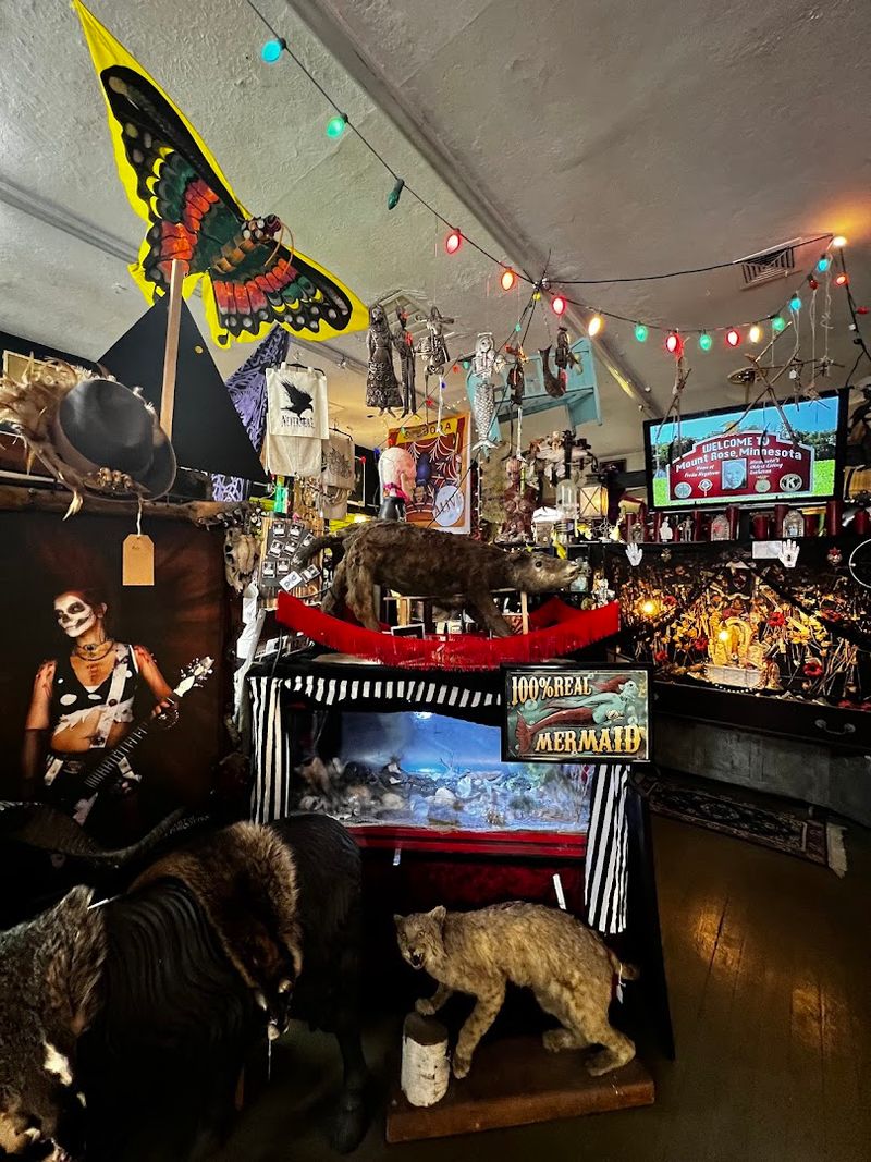 The Basement Museum Tour