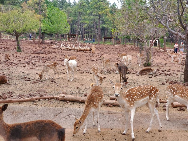 Best Time To Visit The Farm
