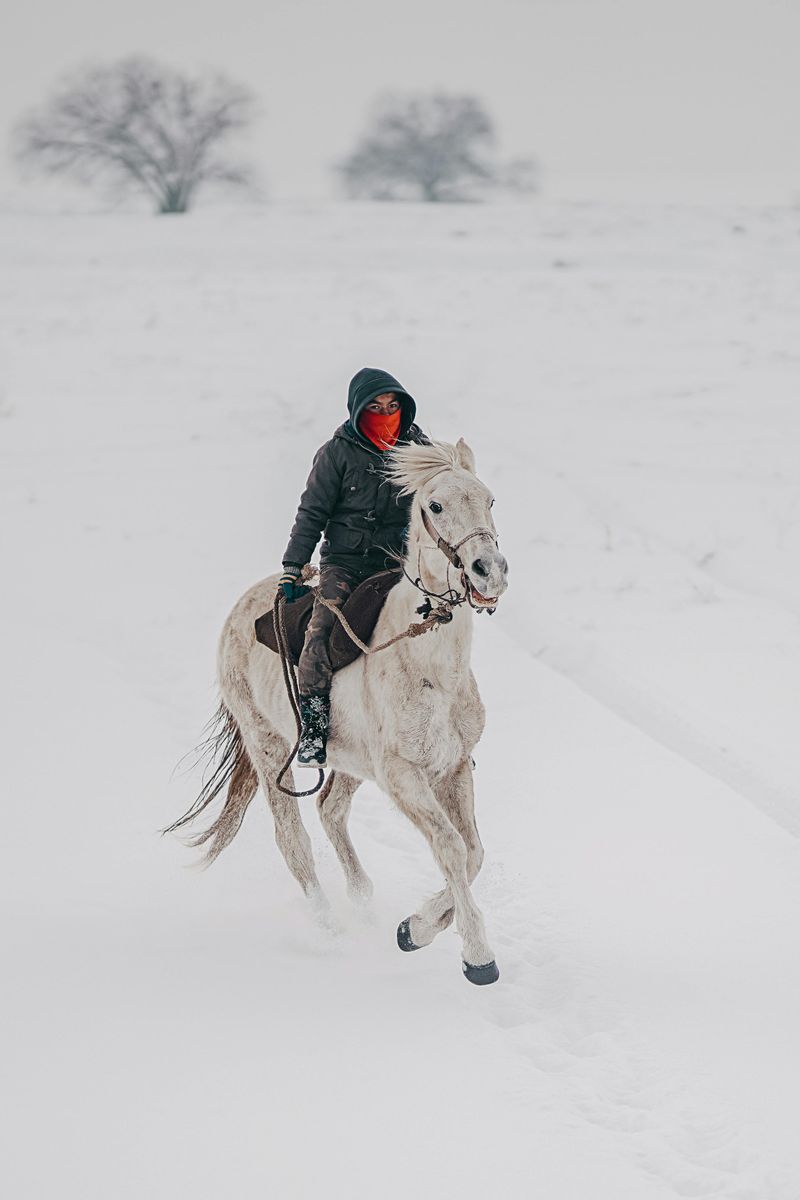 Understand What The Ride Includes Before You Go