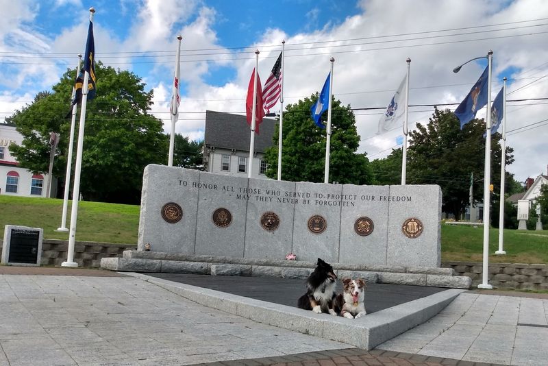 The Witch's Curse On Colonel Buck's Tomb