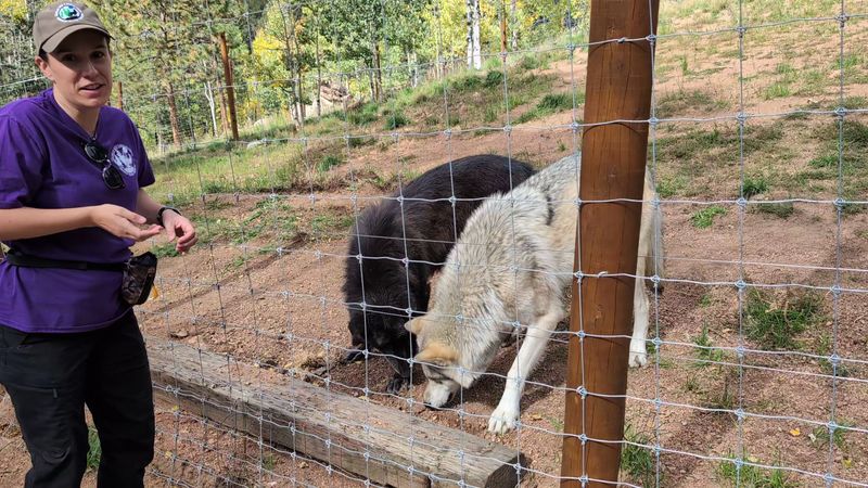 Why the Educational Tour Is Worth Every Minute Before the Animal Interaction