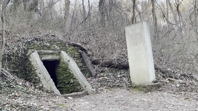 What the Cave Actually Looks Like Today