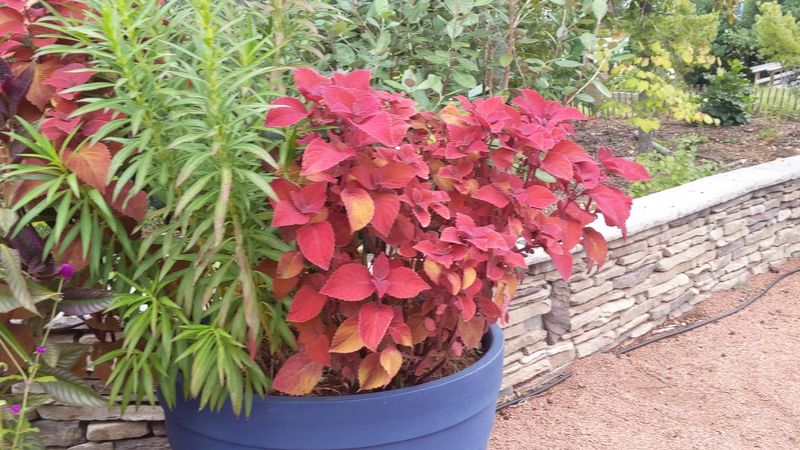 The LEGO Sculpture Exhibit That Surprises Every Visitor