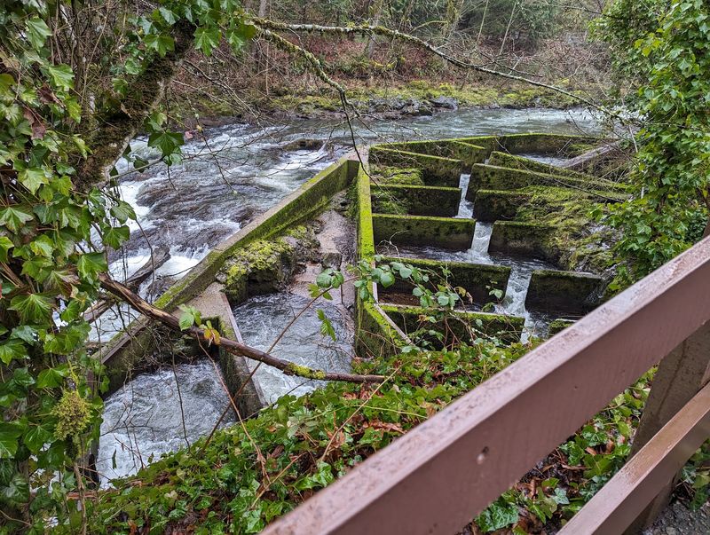 The Working Fish Hatchery On Site