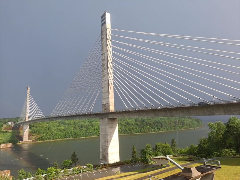 A Stunning Cable-Stayed Giant