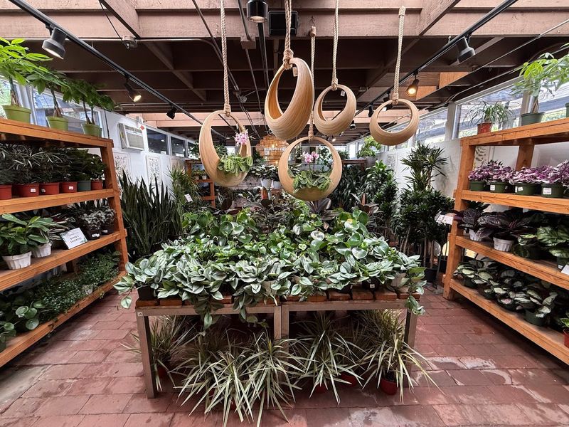 The World-Class Pottery And Planter Collection