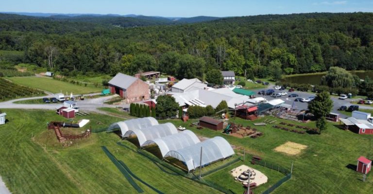 The World-Famous Blueberry Donuts At This Pennsylvania Farm Are Hard To Believe
