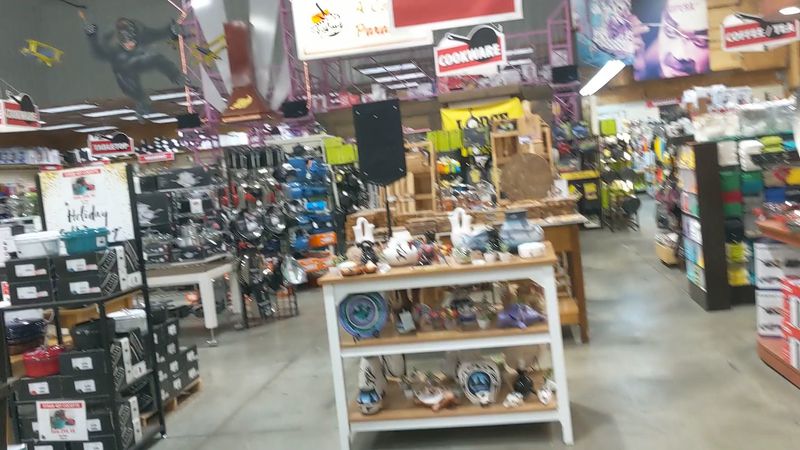 Specialty Sections For Every Interest