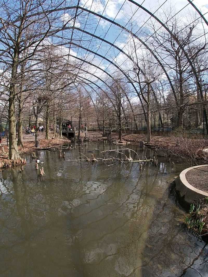 The World's Fair Birdcage St. Louis Refused To Lose