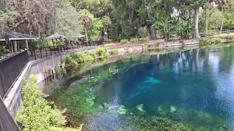 The World's Largest Artesian Spring System Powers Everything