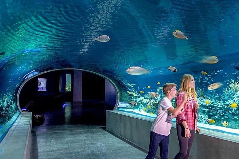 The World's Only Revolving Ocean Tunnel