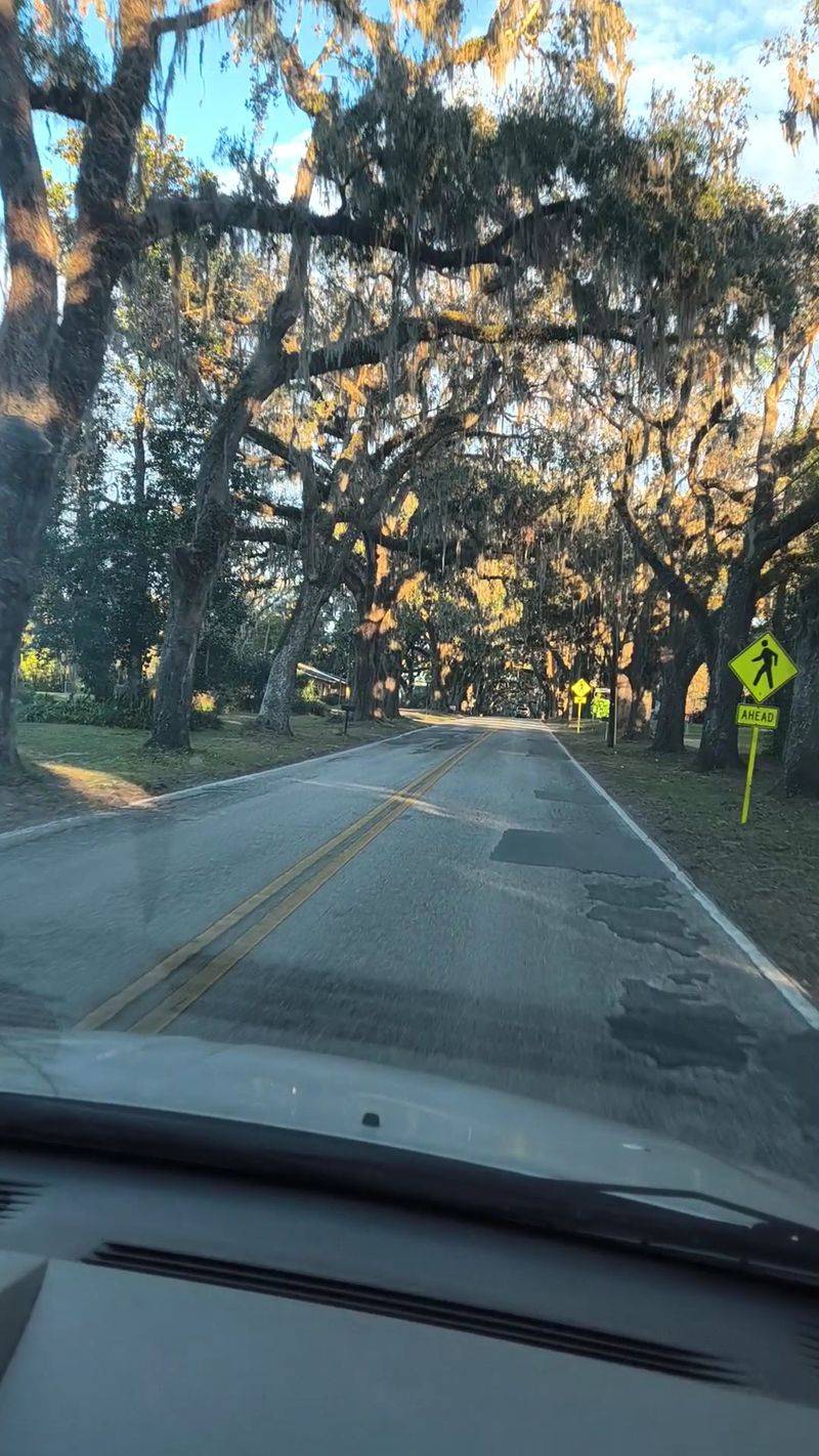 Timing The Light: When To Go