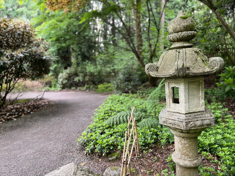 The Yao Garden and Its Japanese-Inspired Calm The Yao Garden and Its Japanese-Inspired Calm