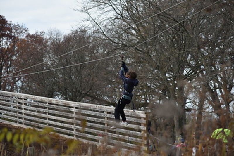 The Ziplines That Give You A Real Rush