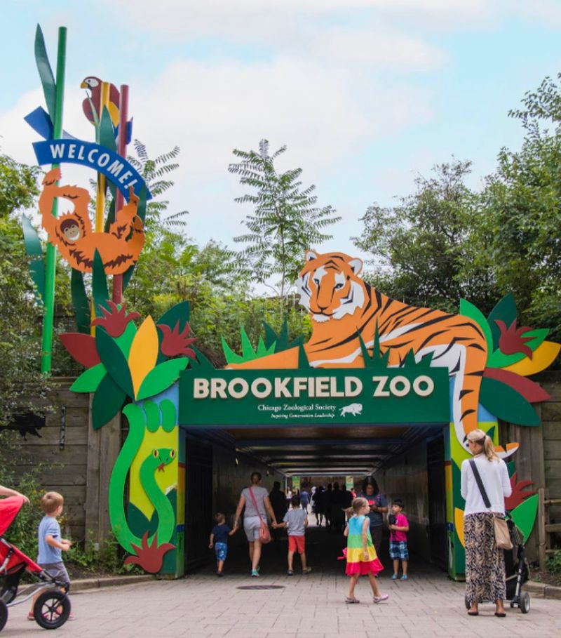 Where Conservation Meets Light