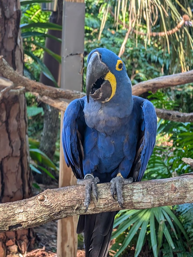 The Zoo Earned a Stellar 4.7-Star Rating