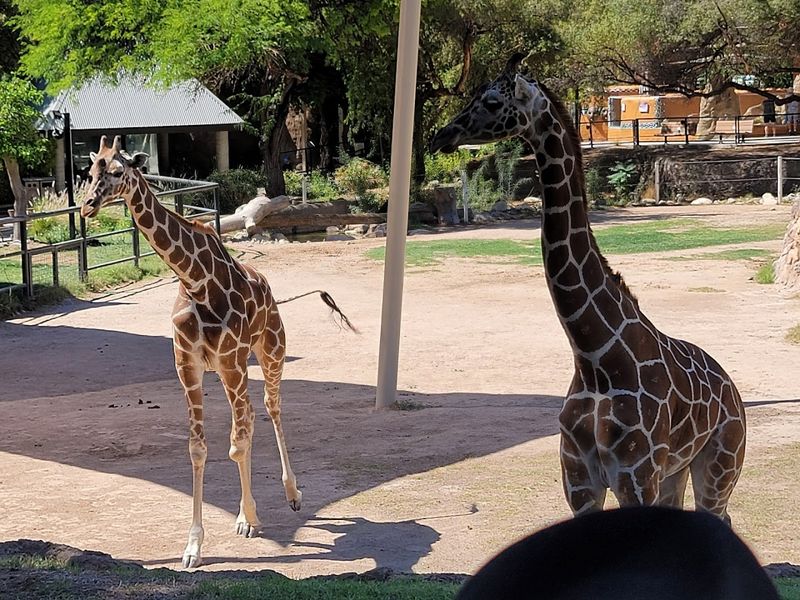 Planning Your Visit: Tips To Make The Most Of Your Day