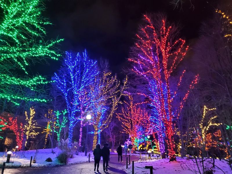 The Zoo Glows After Dark