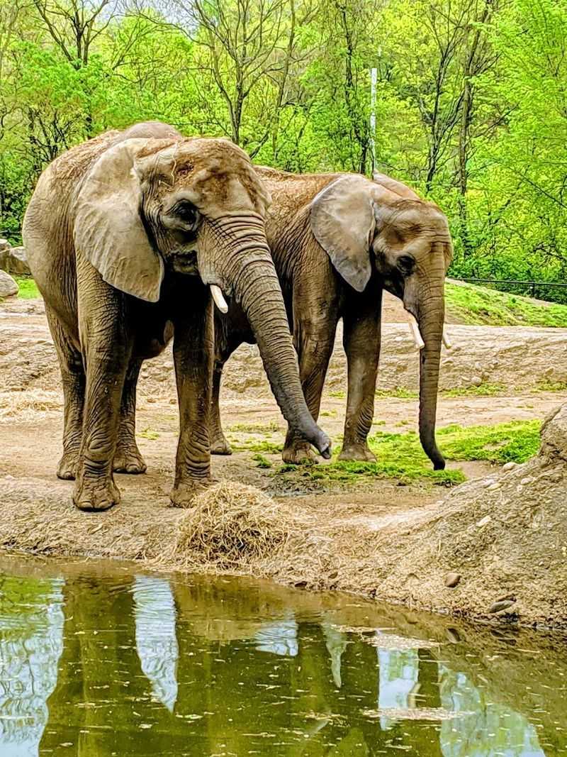 Annual Passes Offer Outstanding Value for Repeat Visitors