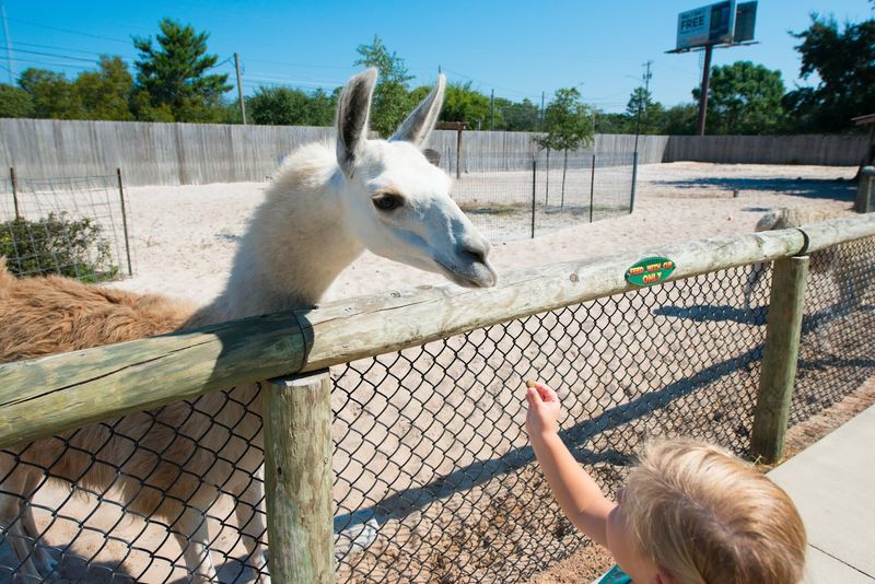The Zoo Maintains A Manageable Size For Families