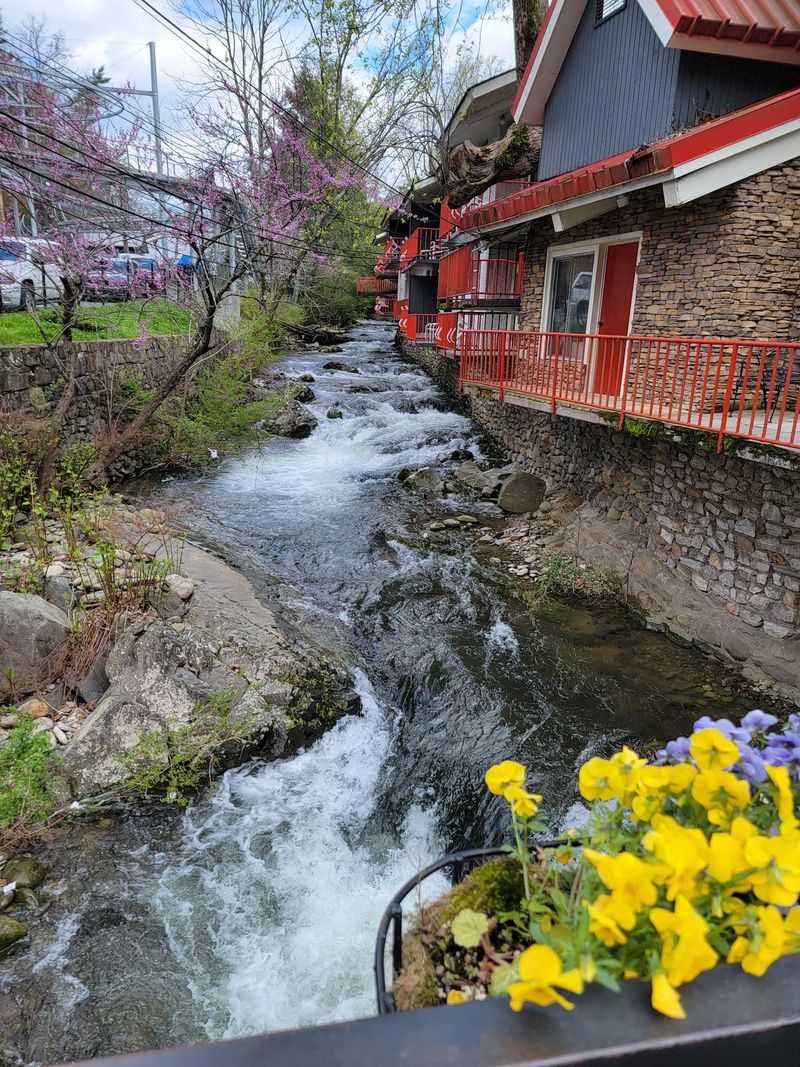 The corridor’s appeal comes from its changing scenery