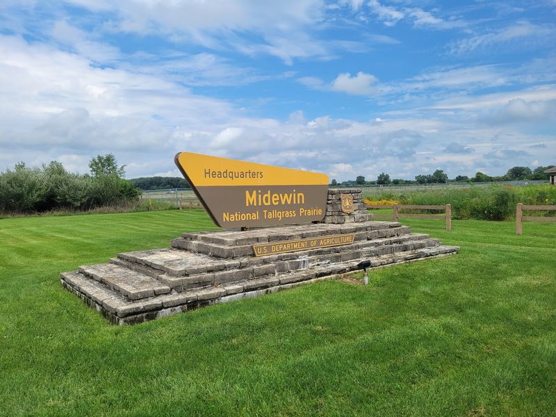 The experimental herd supports prairie restoration