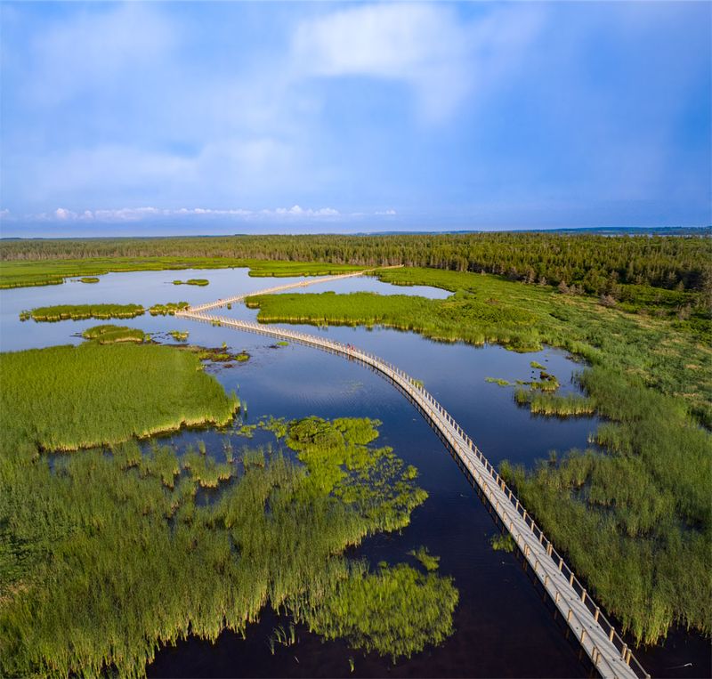 The floating boardwalk crosses wetland habitat on an easier route The floating boardwalk crosses wetland habitat on an easier route