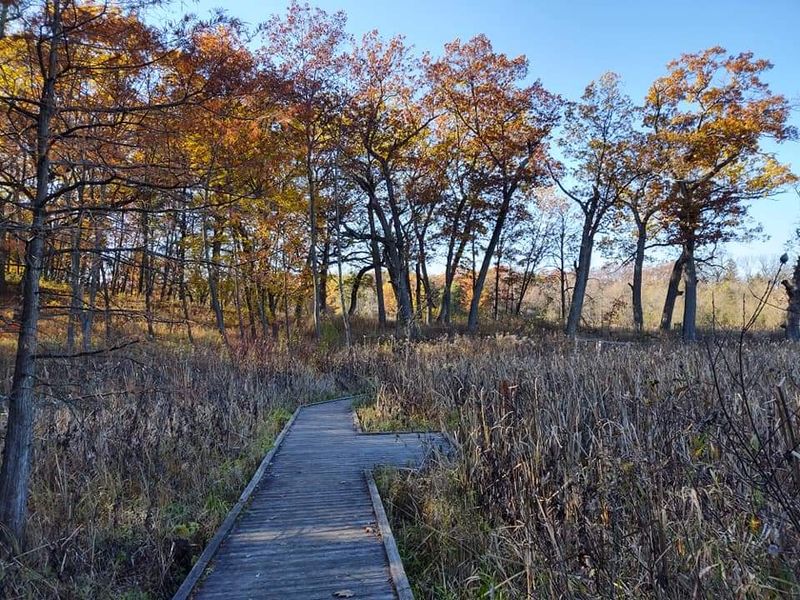 The name says bog, but the habitat is a fen
