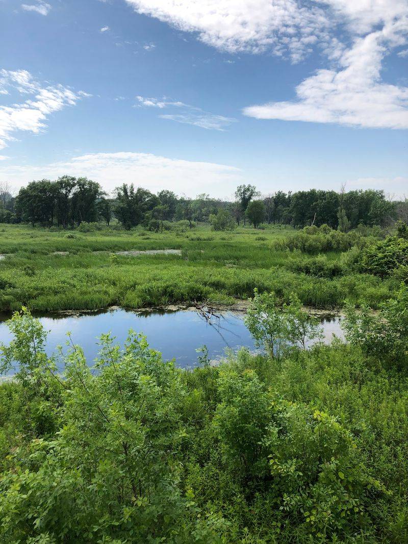 The state designation protects a fragile ravine and bluff habitat