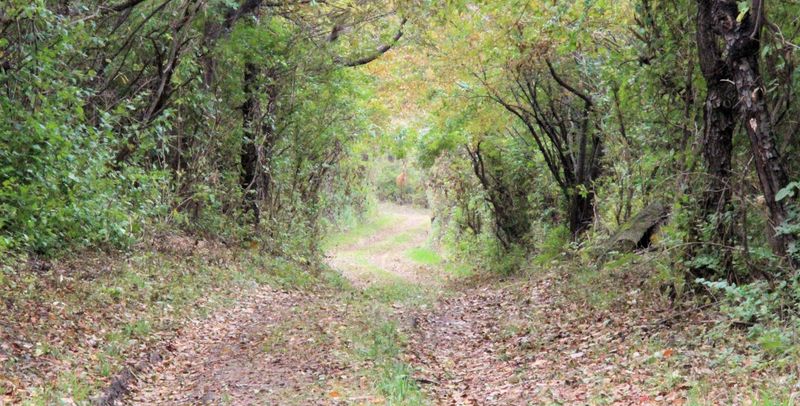 The towpath provides the legal view The towpath provides the legal view