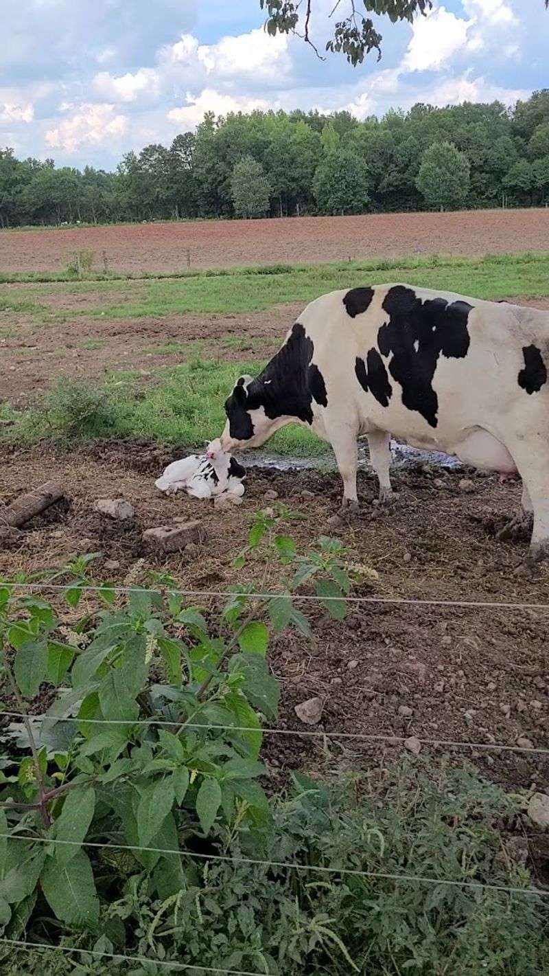 The Farm Operates With A No-Pesticide Philosophy That Sets It Apart