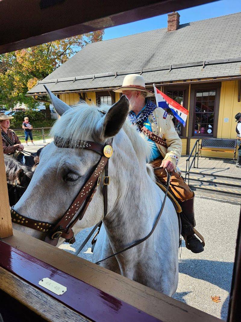 Themed Excursions That Keep Every Visit Fresh