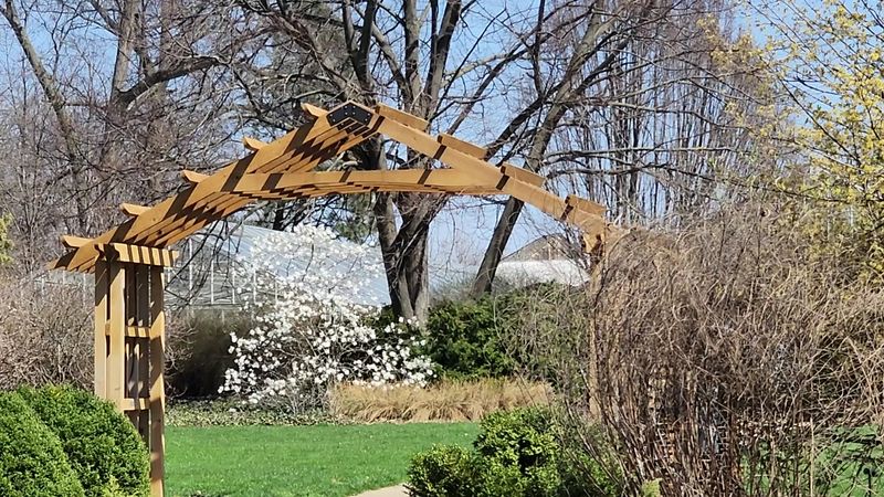 Spring Photography Opportunities