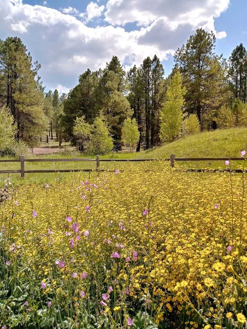 Themed Gardens Worth Wandering Slowly
